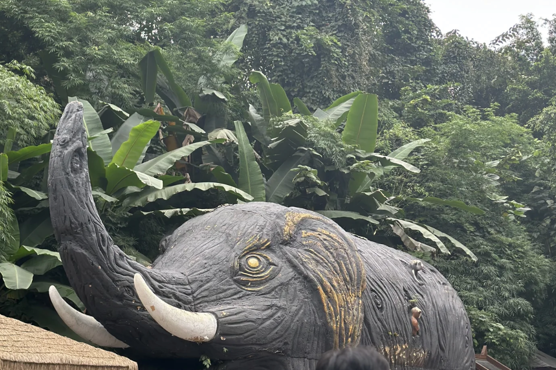 Wild Elephant Valley